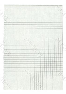 XXL size squared paper page