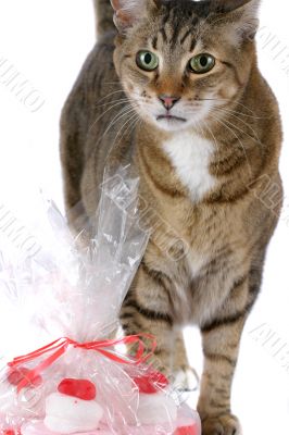Are these for me?