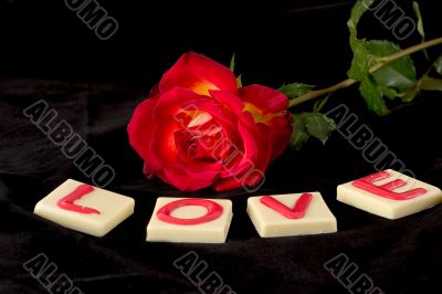 Valentine`s love
