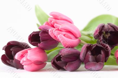 Spring flower bouquet
