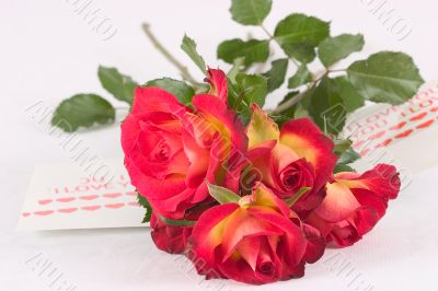 Roses