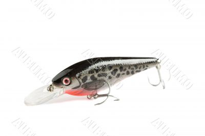 Fishing gear