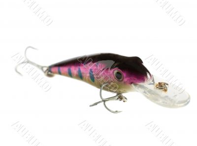 Shiny lure