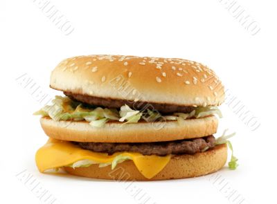 appetizing hamburger