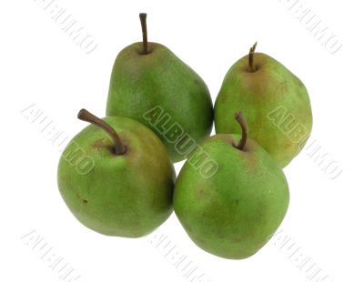 green pears on white #2