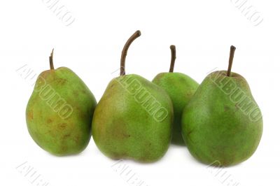 green pears on white #3