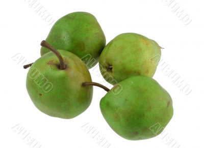 green pears on white