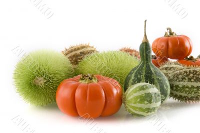 pumpkins