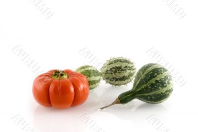 pumpkins in autumn