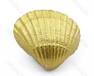 golden sea shell