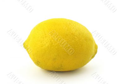 lemon on white