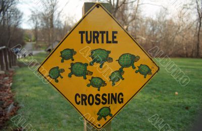 Turtle Sign