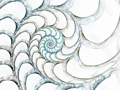 Shell of a Spiral Light
