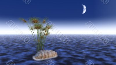 3d water scene