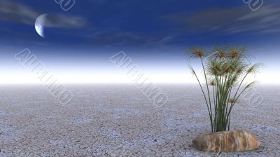 3d scene