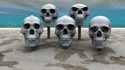 skulls in a row