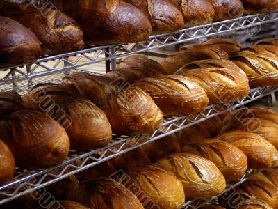 Bread in Bakery