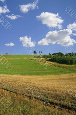 idyllic summer scenery