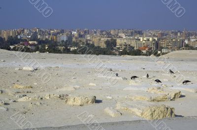 Cairo