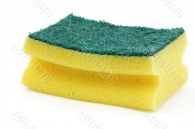 washing-up sponge