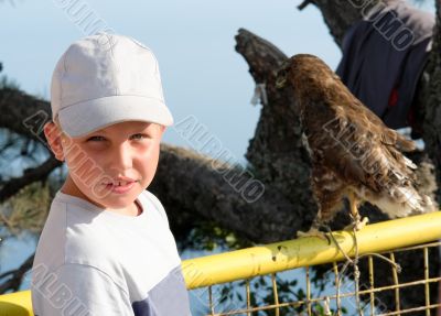 boy against a hawk