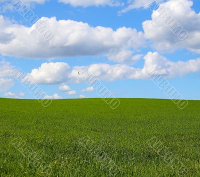 beautiful landscape
