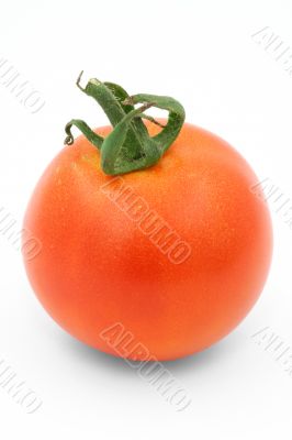 gorgeous tomato
