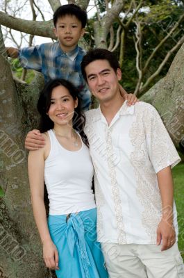 In The Tree