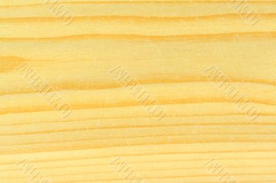 bright pine wood texture