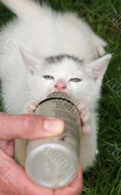 Total concentration
