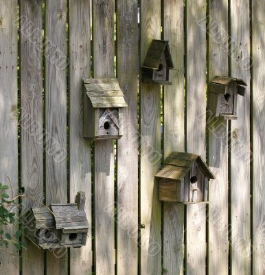Bird Houses