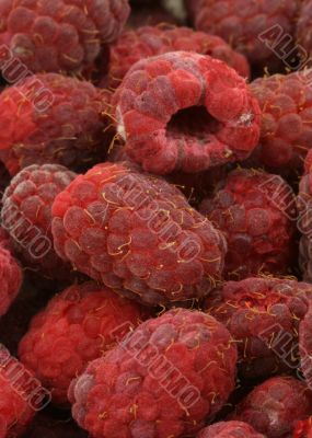 raspberries