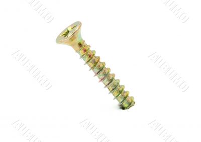 screw driven into white background