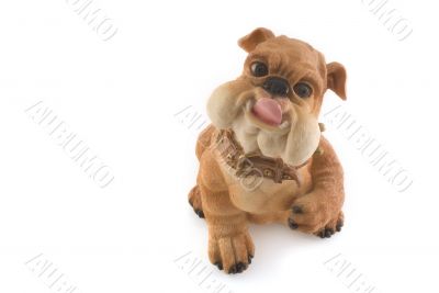 dog