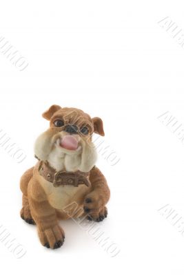 angry dog