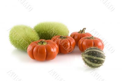 pumpkins and calabashes