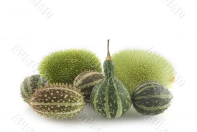 Green calabashes
