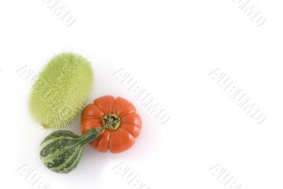 composition of pumpkins