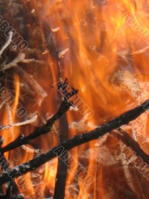 the warmth of the bonfire