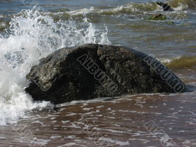 the stone in the water