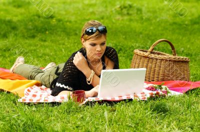 Busy Picnic