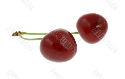 sweet cheries - real macro