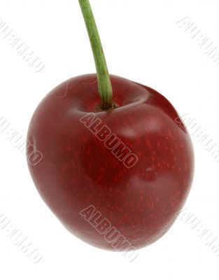 sweet cherry