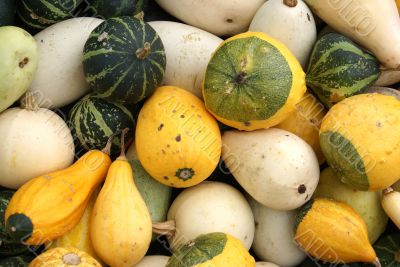 Different gourds.