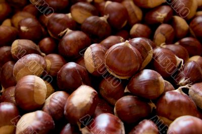 Chestnuts