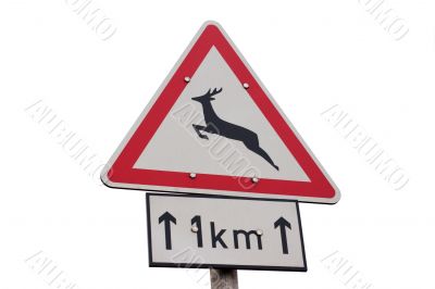 Deer Warning