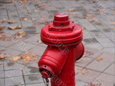 Hydrant