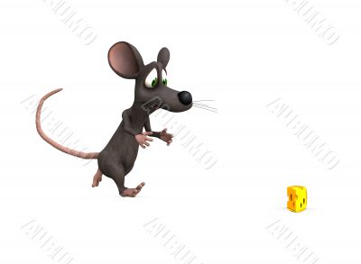 mouse chase