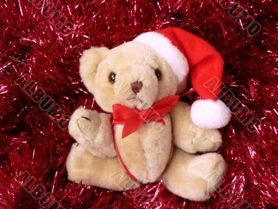 christmas bear