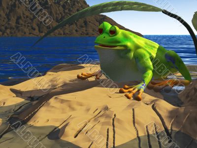 frog sitting